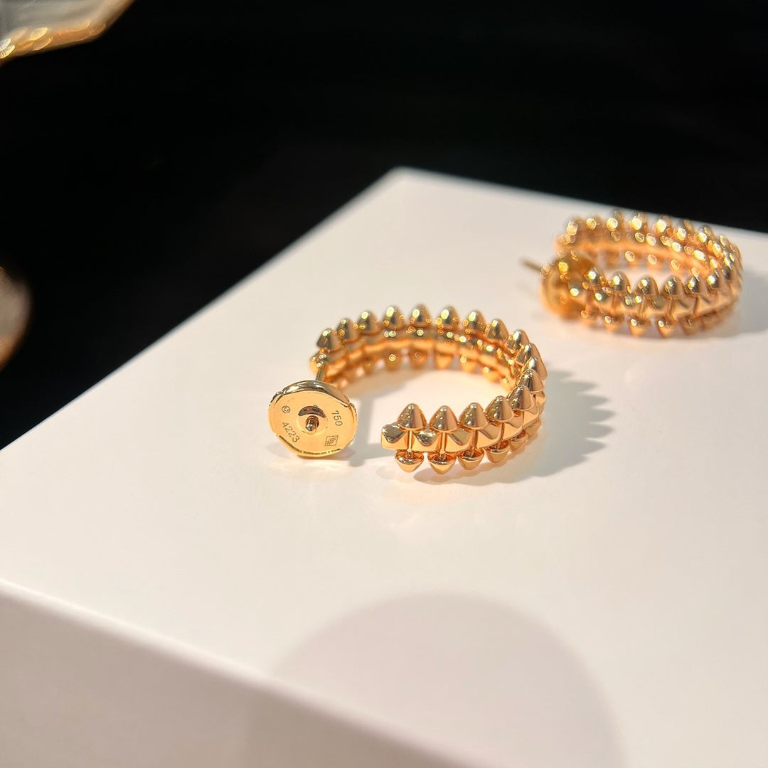 [Regal Jewels]CLASH EARRINGS